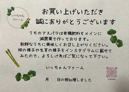 【熊本県産】朝採りいっちゃんアスパラ 規格外品 1kg以上（クール便）